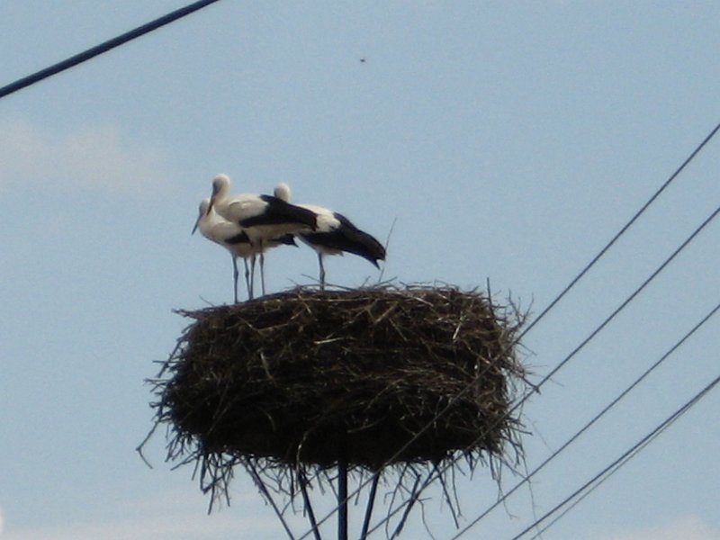 Vystavba   82.jpg